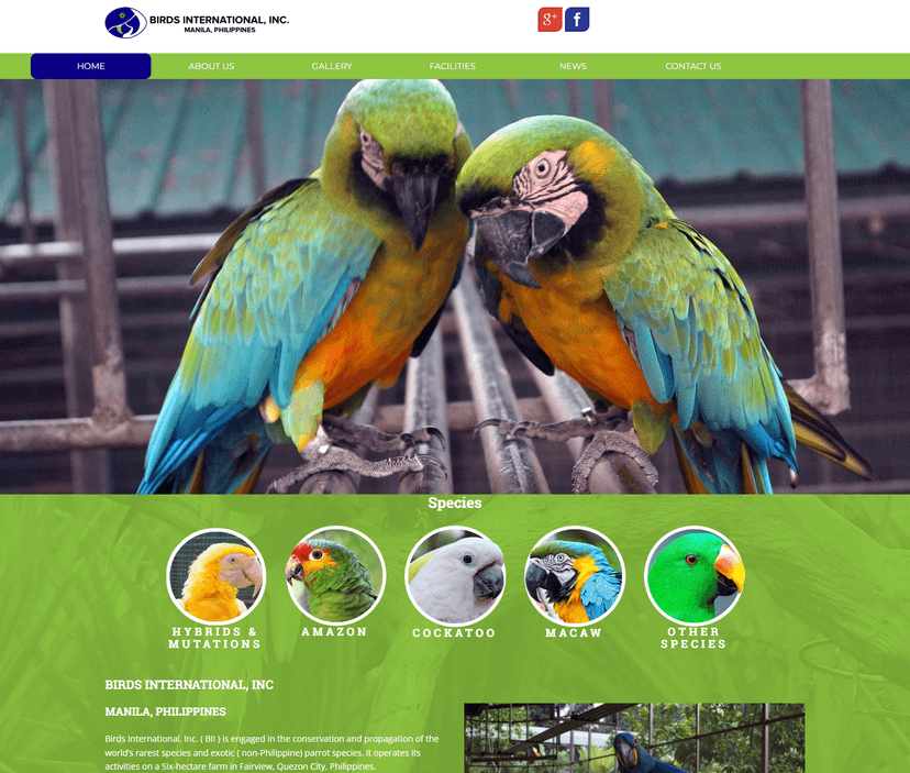 Birds International Inc